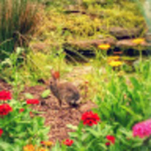 Meet your Posher, Karen